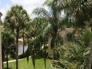 Naples, Florida vacation condo